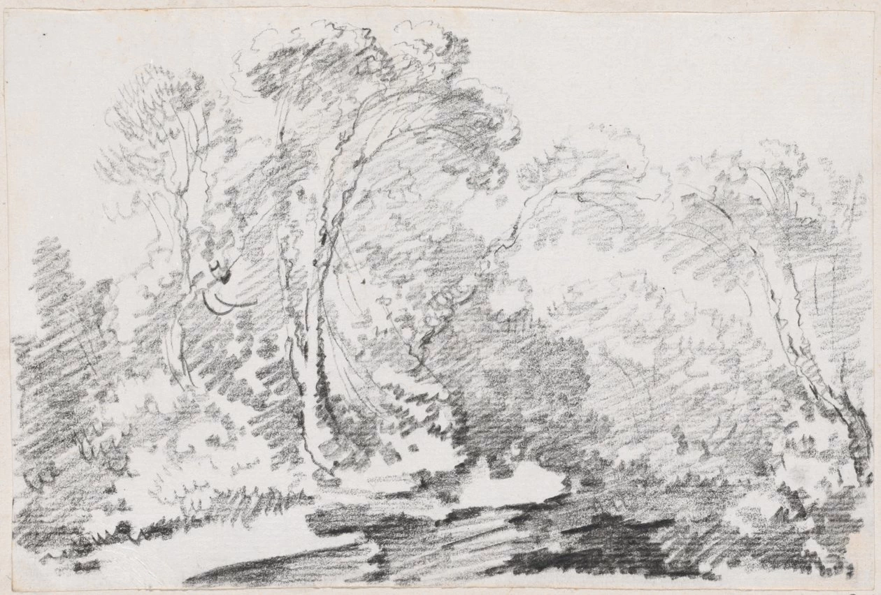 Alberi - National Gallery of Art